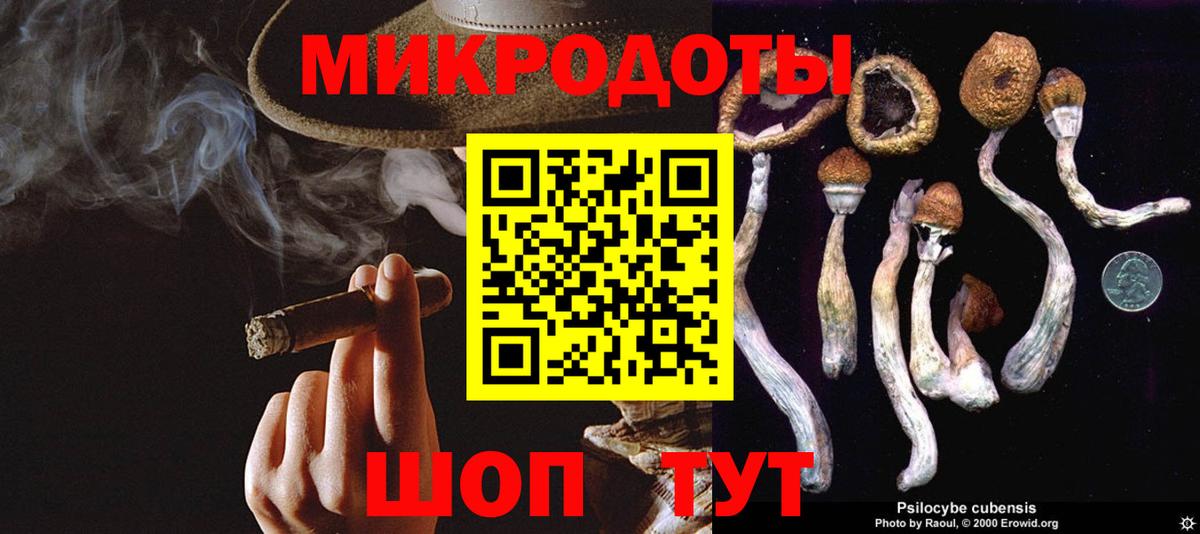 Галлюциногенные грибы прущие грибы  Вход с VPN  Химки  Псилоцибиновые грибы GOLDEN TEACHER 